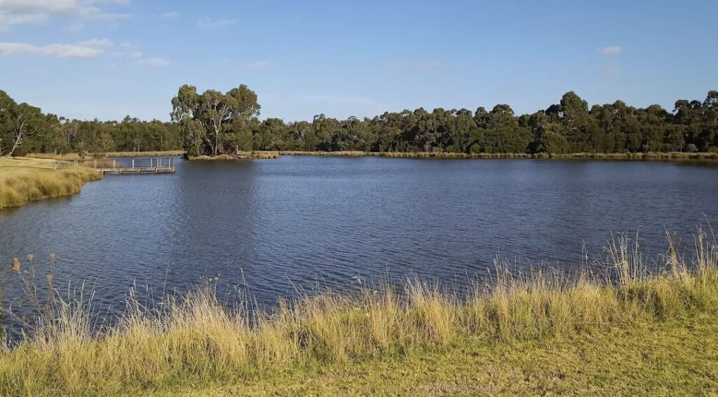 Knoxfield Lakewood Nature Reserve Melbourne