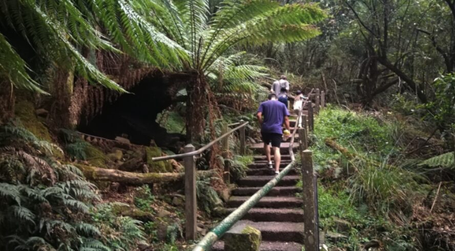 Ferntree Gully 1000 Steps Melbourne