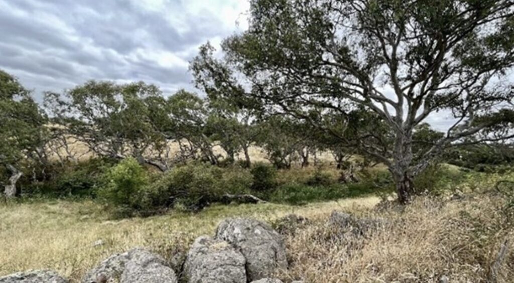 Campbellfield Melbourne