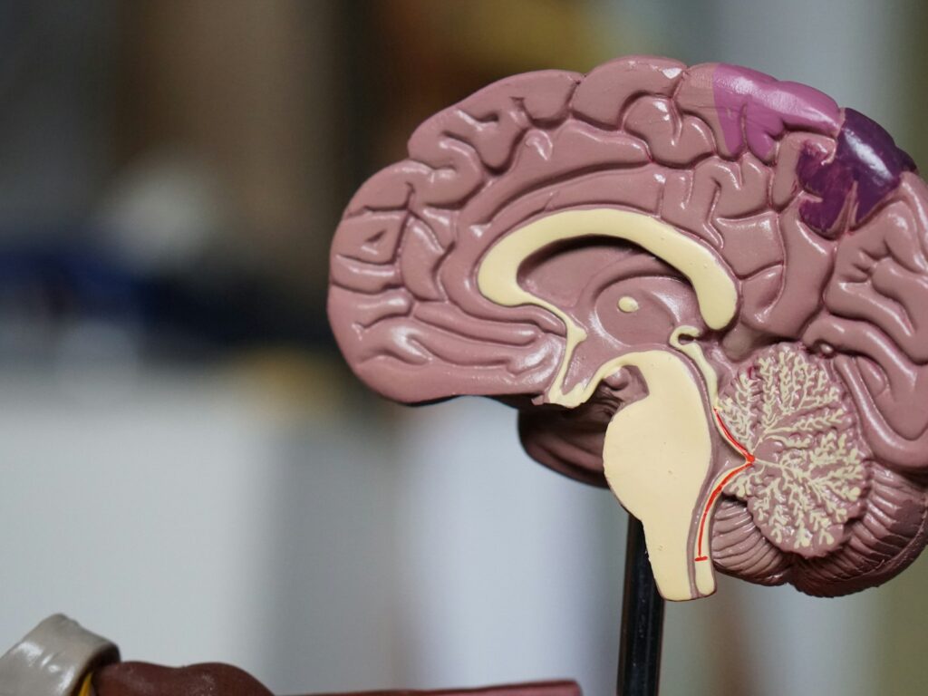 Acquired brain injury rehabilitation at home: goals, funding and what physio involves